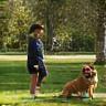 Owner and dog with trainer in park